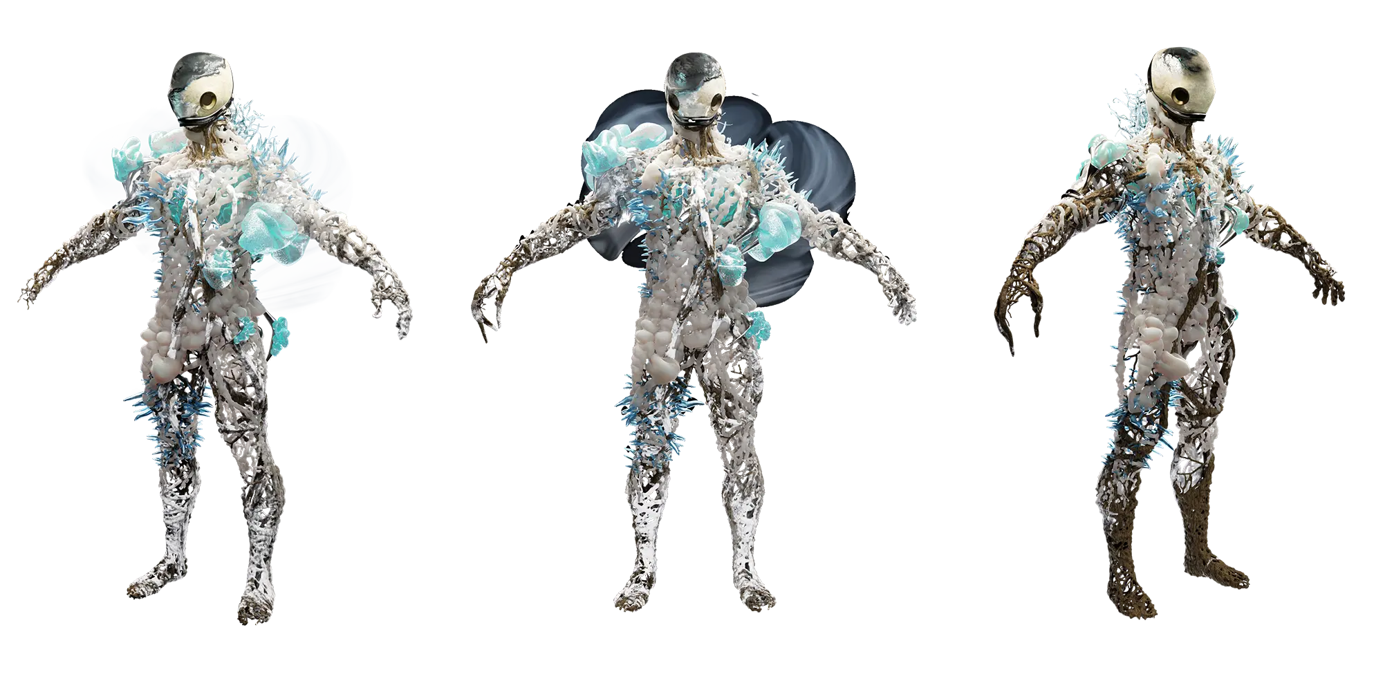 AngenomeMaskWinter